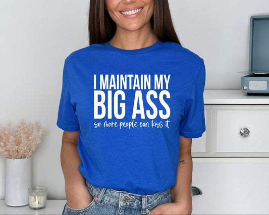 I Maintain